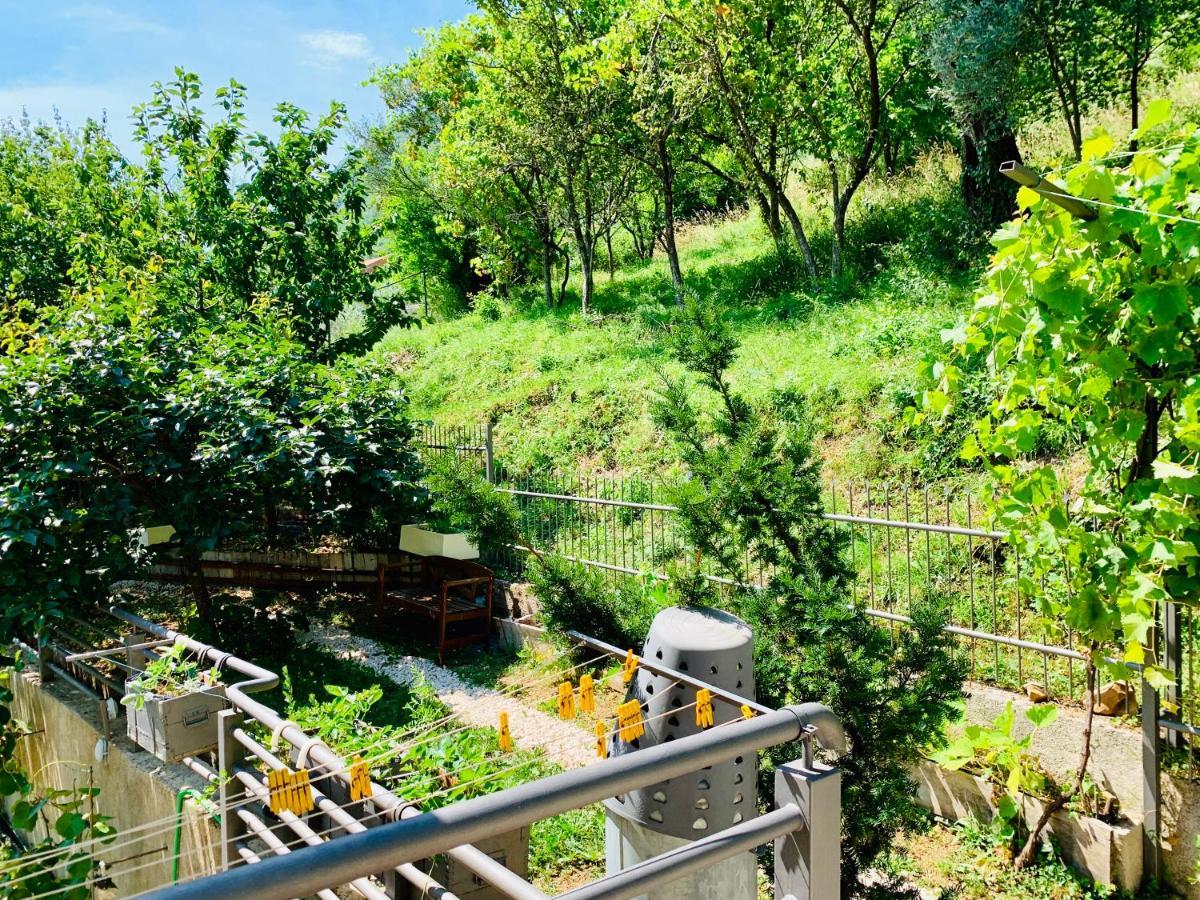 Vila Verica Donji Stoliv Ngoại thất bức ảnh